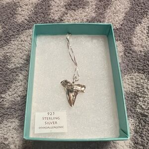 Shark tooth necklace